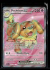 Dachsbun ex