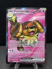 Dachsbun ex