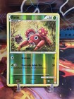 Paras