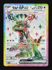 Cyclizar ex