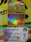 Chimchar