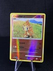 Chimchar