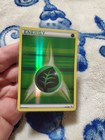 Grass Energy