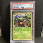Torterra