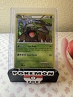 Torterra