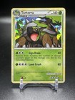 Torterra
