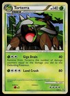 Torterra