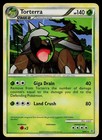 Torterra