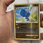 Cranidos