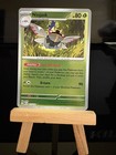 Ninjask
