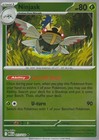Ninjask