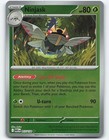 Ninjask