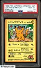 Ooyama's Pikachu
