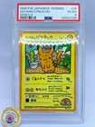 Ooyama's Pikachu