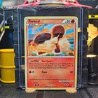 Torkoal