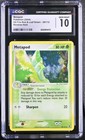 Metapod