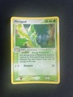 Metapod