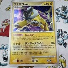 Raikou
