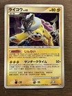 Raikou