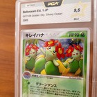 Bellossom