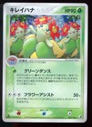 Bellossom