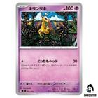 Sealed Deck