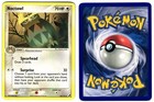Noctowl