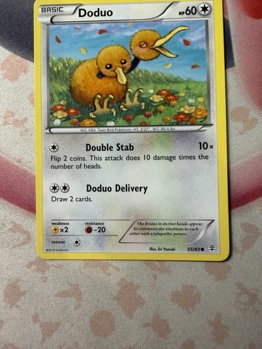 Doduo