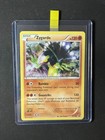 Zygarde