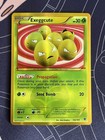 Exeggcute