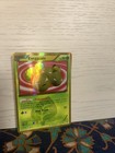 Exeggcute