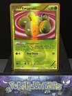 Exeggcute