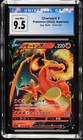 Charizard V