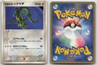 Sky's Rayquaza