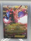 Hydreigon EX