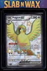 Pidgeot ex