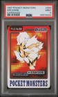 Charizard & Arcanine