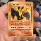 Charizard & Arcanine