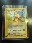 Furret