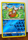 Magikarp