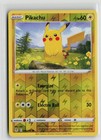 Pinsir
