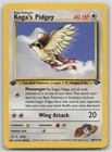 Koga's Pidgey