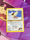 Koga's Pidgey