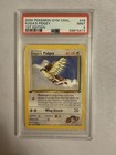 Koga's Pidgey