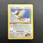 Koga's Pidgey