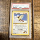 Koga's Pidgey