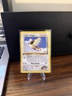 Koga's Pidgey