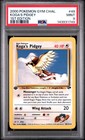 Koga's Pidgey