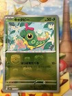 Caterpie