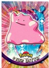 Ditto